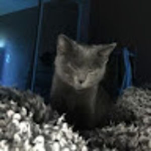 Meet your Posher, Rubin